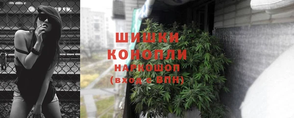 соль ск Алзамай