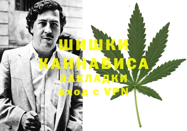 соль ск Алзамай