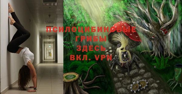 соль ск Алзамай