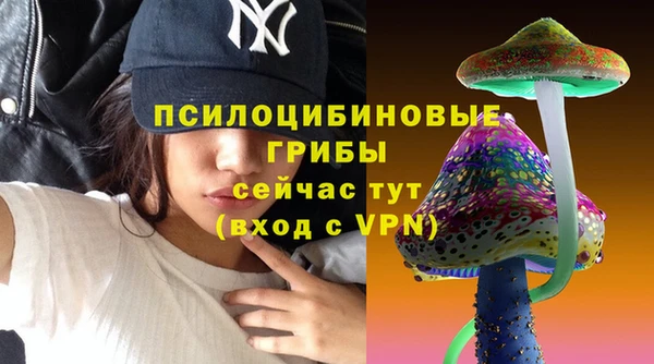 кокс Алексин