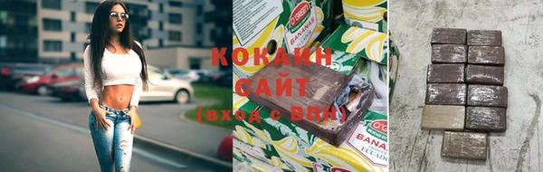 кокс Алексин
