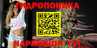 сатива Краснокаменск