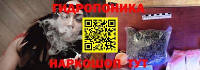 сатива Краснокаменск