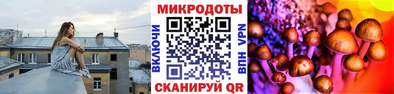 Псилоцибиновые грибы ЛСД  площадка официальный сайт  Кольчугино 