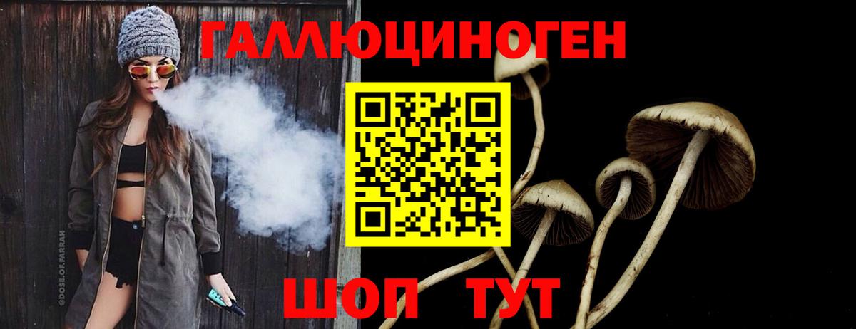 Псилоцибиновые грибы MAGIC MUSHROOMS Кольчугино