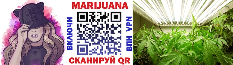 Конопля Bruce Banner  Кольчугино 
